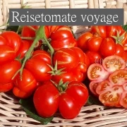 Reisetomate voyage