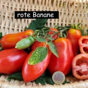 Rote Banane