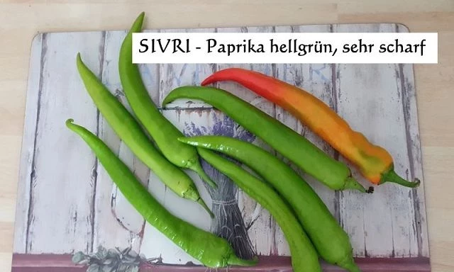 SIVRI - Paprika hellgrün, sehr scharf