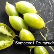 Samocvet Izumrudny