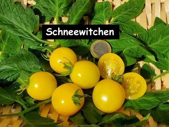 Schneewittchen (Snow White)
