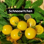 Schneewittchen (Snow White)