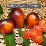 Sofia's Sweet Caramel