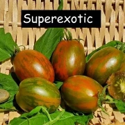 Superexotic