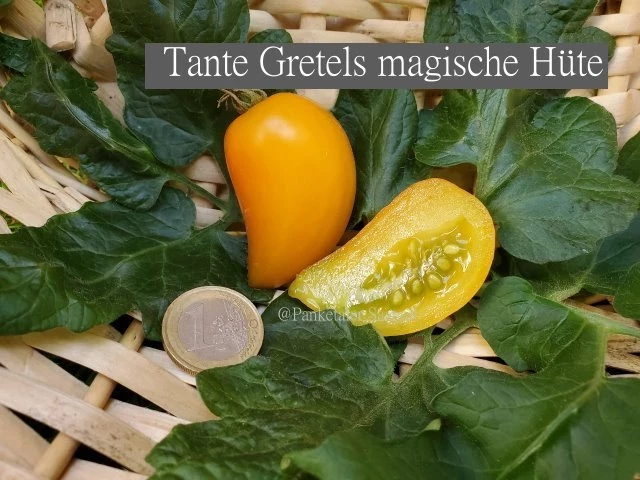 Tante Gretels magische Hüte