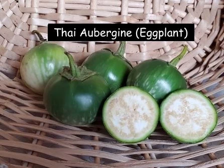 Thai Aubergine (Eggplant)