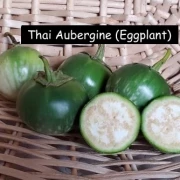 Thai Aubergine (Eggplant)