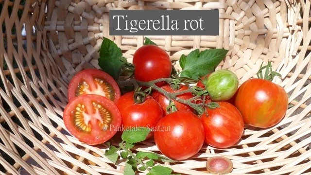 Tigerella rot