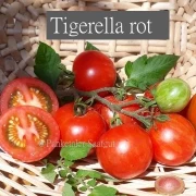 Tigerella rot