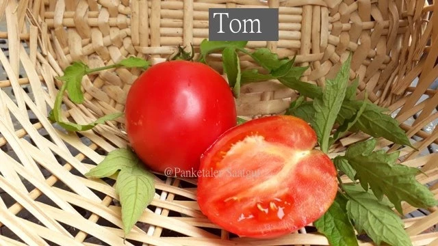 Tom