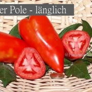 der Pole - länglich