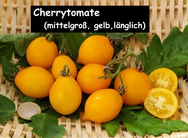 Cherrytomate (mittelgroß, gelb, länglich) F1)