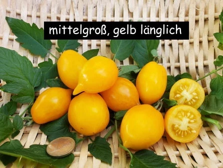 mittelgroß, gelb, länglich