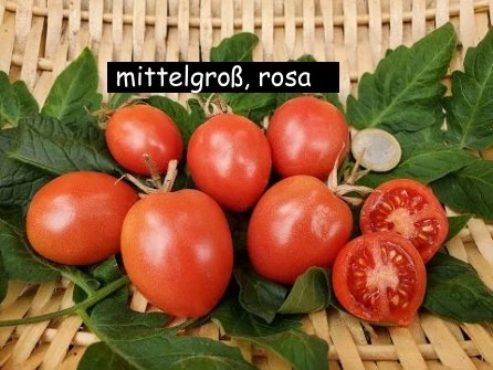 Cherrytomate (mittelgroß rosa)