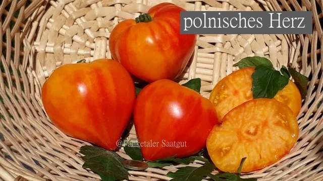 polnisches Herz