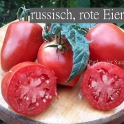 russisch, rote Eiertomate