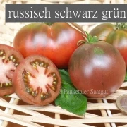 russisch schwarz grün rot