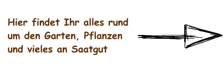 Logo*